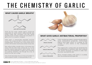 The-Chemistry-of-Garlic